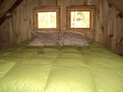 a green bed in a wooden room with two windows at Cabaña Rustica Patagonia Chilena in Coñaripe