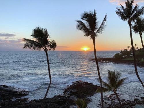 two palm trees on the beach at sunset at Oceanfront Luxury Condo in Kailua-Kona