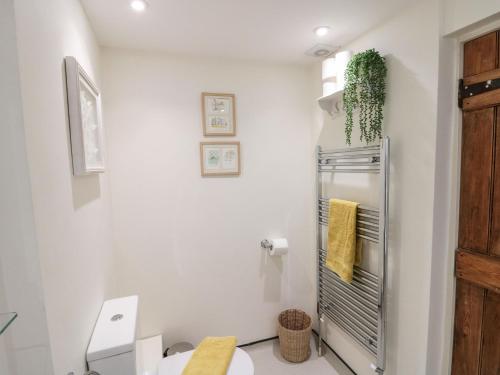 a bathroom with a shower and a toilet in it at 12 Castlegate in Pickering