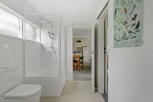a bathroom with a toilet and a walk in shower at Surfside on Mollymook Beach in Mollymook