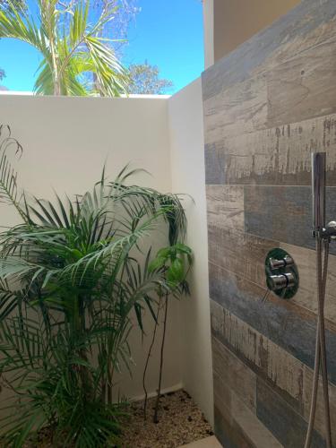 Fotografie z fotogalerie ubytování CASITA COCO v destinaci Playa Grande
