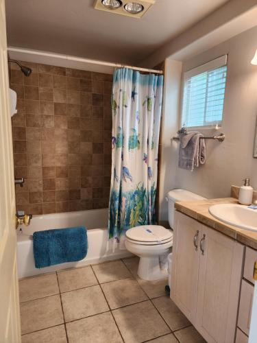 a bathroom with a toilet sink and a shower curtain at Plainview Motel in Coos Bay