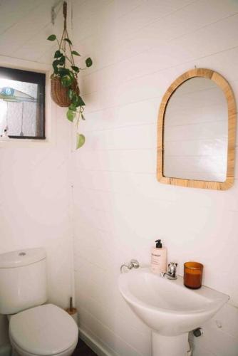a bathroom with a white toilet and a sink at The Treehouse Ocean Grove in Ocean Grove
