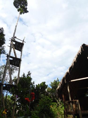 Imagen de la galería de Casa Azul Reserva Amazonica, en Leticia