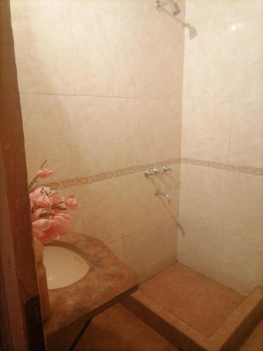 a bathroom with a sink and a shower at Casa Juliana in El Aibal