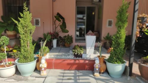 Κήπος έξω από το 66 Apartment