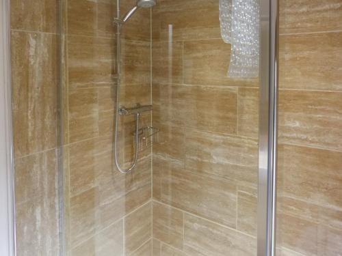La salle de bains est pourvue d'une douche avec une porte en verre. dans l'établissement Ash Lodge, à Clatworthy