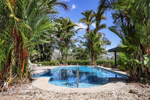 a swimming pool in the middle of a resort with palm trees at Finca Pura Villa in San Lorenzo