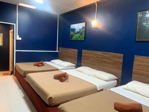 3 łóżka w pokoju z niebieskimi ścianami w obiekcie Vintage Guesthouse w mieście Tanah Rata