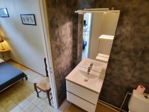 a bathroom with a sink and a mirror at Appartement moderne T2 avec Wi-Fi en centre-ville, à proximité des Thermes de La Roche-Posay - FR-1-541-78 in La Roche-Posay