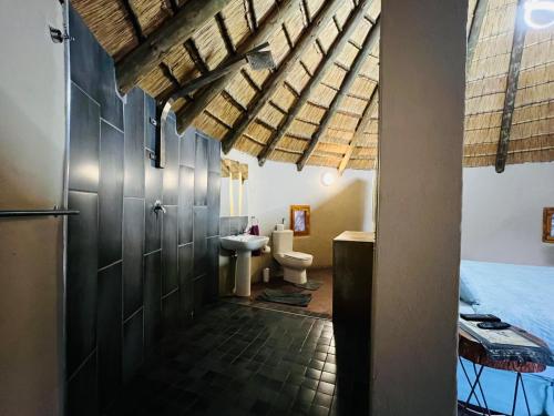 a bathroom with a sink and a toilet in a room at Kwakunje Guest Lodge in Dundee
