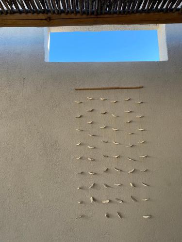 a bunch of bird footprints on a metal ceiling at The Mantarraya Outpost in La Paz
