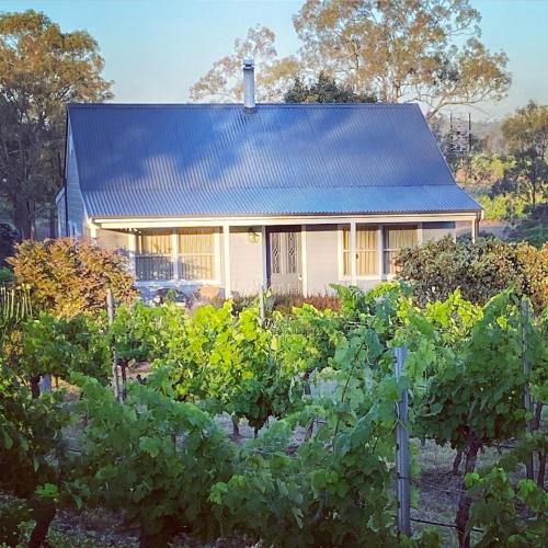 a house with a bunch of vines in front of a building at McCaffrey's Estate in Pokolbin