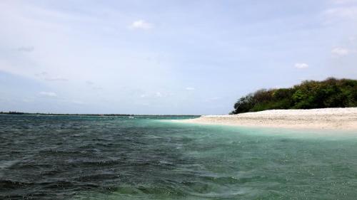 a body of water with a sandy beach and trees at Bella Nilaveli Beach in Nilaveli