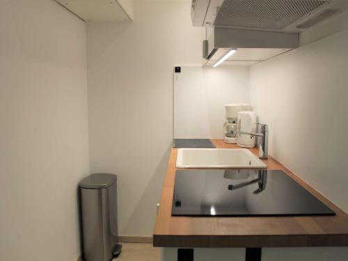 une salle de bain avec un lavabo et une poubelle dans l'établissement Appartement rénové à 20m des pistes, WIFI, parking privé, 4 couchages à Vars - FR-1-330B-23, à Vars