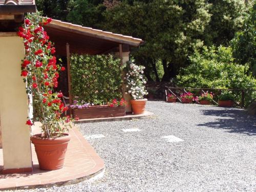 Ferienhaus in Monteverdi Marittimo mit gemeinsamem Pool, Garten und Grill