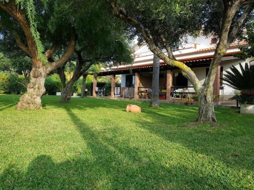 Ferienwohnung für 5 Personen ca 55 m in Capo Vaticano, Kalabrien Provinz Vibo Valentia