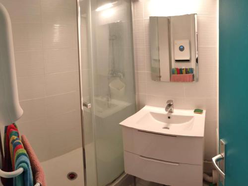a bathroom with a shower and a sink and a shower at Appartement Argelès-sur-Mer, 2 pièces, 5 personnes - FR-1-225-579 in Argelès-sur-Mer
