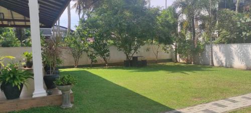 une cour avec de l'herbe verte, des arbres et une clôture dans l'établissement Thalpitiya villa, à Wadduwa