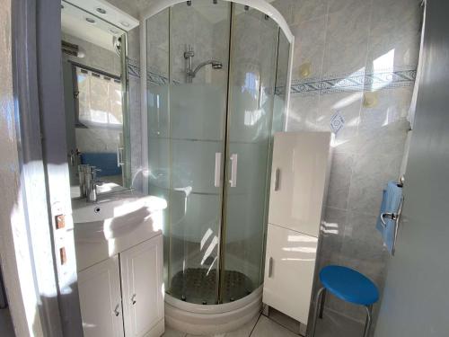 ein Bad mit einer Dusche, einem Waschbecken und einem WC in der Unterkunft Appartement Porticcio, 2 pièces, 4 personnes - FR-1-61-539 in Porticcio