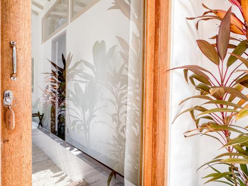 Foto dalla galleria di Villa Kudì Maldives Guest House Thulusdhoo a Thulusdhoo