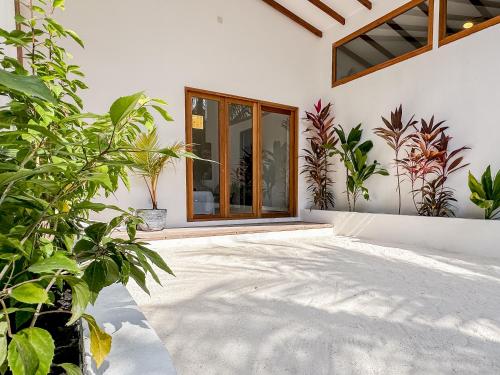 a courtyard of a house with plants at Villa Kudì Maldives Guest House Thulusdhoo in Thulusdhoo