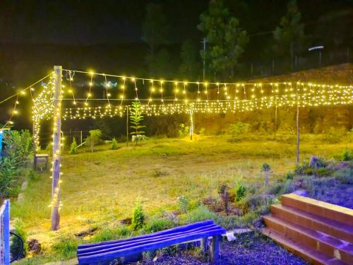 a string of lights in a garden at night at Moon Valley, kanthalloor in Kanthalloor