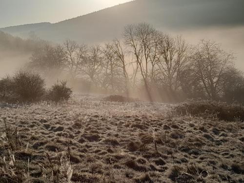 a field covered in snow with trees in the background at les loizards in Chissey-en-Morvan
