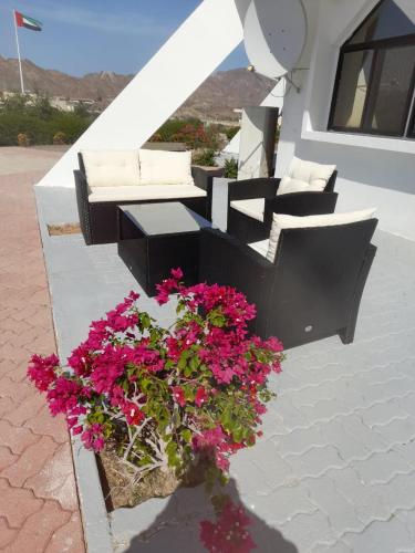 a patio with couches and flowers in a pot at Peace Farm in Hatta
