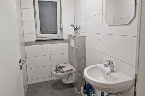 La salle de bains blanche est pourvue d'un lavabo et de toilettes. dans l'établissement Work & Stay in Kranenburg near Kleve, à Kranenburg