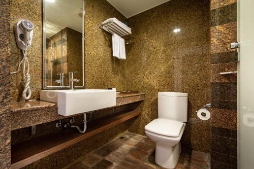 花蓮市的住宿－花蓮百悅休閒飯店，一间带卫生间、水槽和镜子的浴室