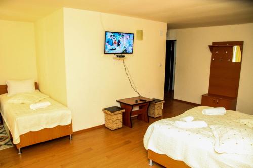 a room with two beds and a tv on the wall at PENSIUNEA HARTAGU 