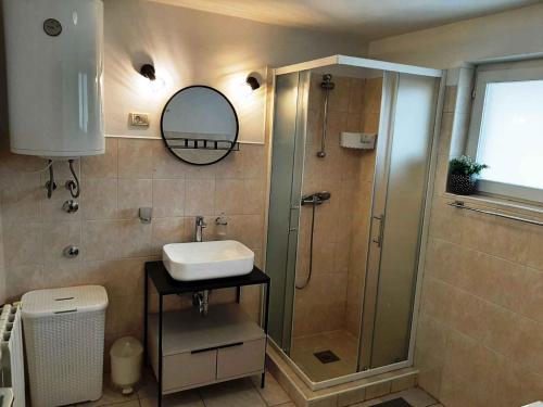 uma casa de banho com um chuveiro, um lavatório e um espelho. em Holiday home in Pula/Istrien 11272 em Veli Vrh