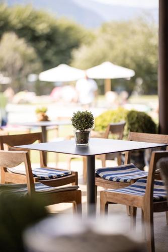 Solterra Chalets - Camping Tisens – Photos 2