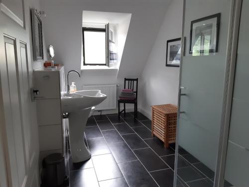 a bathroom with a sink and a toilet in it at Gemütliche Fewo am Felsenwanderweg in Rodalben