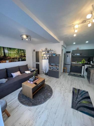 Kuchyň nebo kuchyňský kout v ubytování Apartament Acasa Sf.Gheorghe