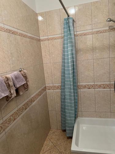 a shower with a blue shower curtain in a bathroom at Leyla in Vodice