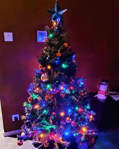 a christmas tree decorated with lights in a room at Gîte Spa & Nature in Saint-Chamassy