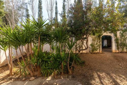 a group of plants in front of a building at Golden Seaside House number 2 in Eantio