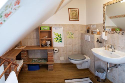 a bathroom with a toilet and a sink at FerienAppartments Landhaus FühlDichWohl in Fehring