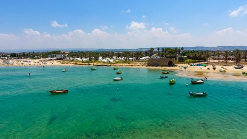 an aerial view of a beach with boats in the water at Dor village in Dor