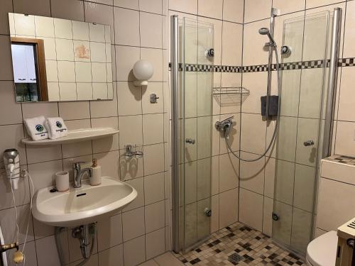 a bathroom with a shower and a sink at Ferienwohnung Rüth in Kall