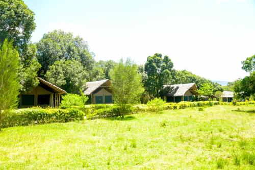 a row of cottages in a field with trees at Giraffe Hills Mara Camp in Masai Mara