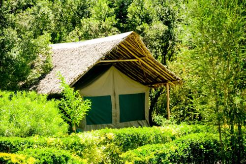 a small hut with a thatch roof in a forest at Giraffe Hills Mara Camp in Masai Mara