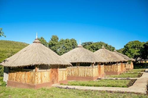 a row of huts with thatched roofs in a field at Giraffe Hills Mara Camp in Masai Mara