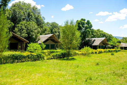 a group of cottages in a field with grass at Giraffe Hills Mara Camp in Masai Mara