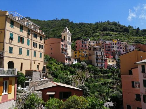 un grupo de edificios en una colina con árboles en Affittacamere Da Paulin, en Manarola