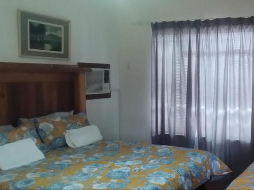 a bedroom with a bed and a window at Royal Karoo Cottage unit 2 in Beaufort West