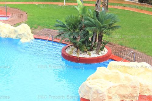 una gran piscina con palmeras en el medio en Gwen El Rincon, en Playa Flamenca