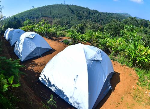 Příroda nedaleko luxury tent